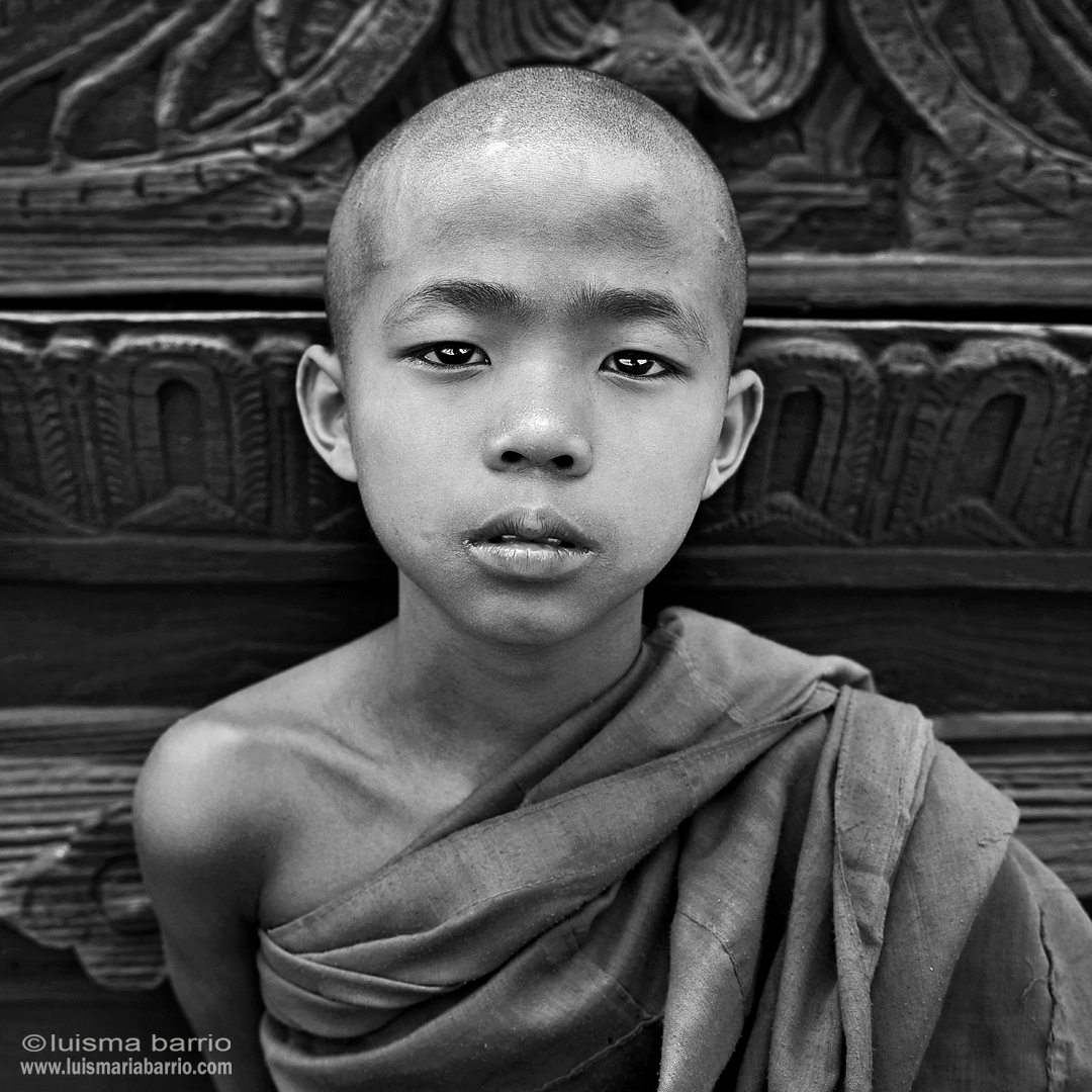 portrait buddhist monk burma myanmar